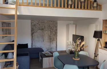 Maison Studio 4 personnes avec mezzanine - Foto 1