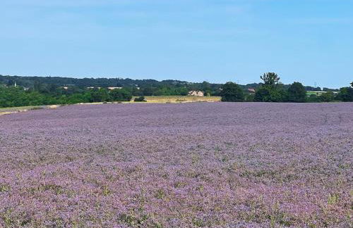 River House - Foto 28