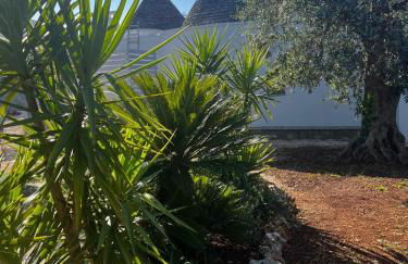 Trullo in vigna - Foto 49