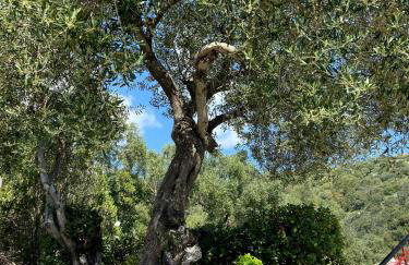 Villa Chrysoula - Foto 12