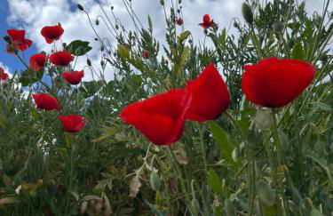 Casa de Don Paco - Foto 18