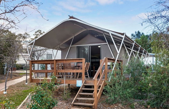 Discovery Parks - Dubbo - Photo 61