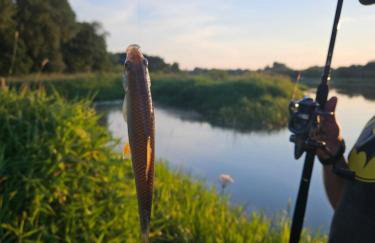 Dom z linią brzegową Narwi 3 - Photo 3