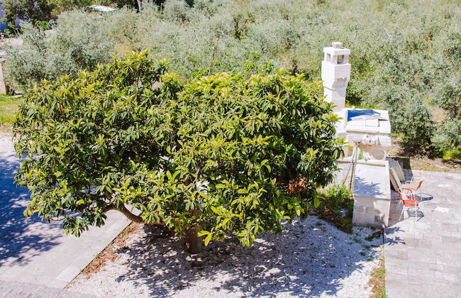 Agriturismo biologico Piccapane - Photo 1