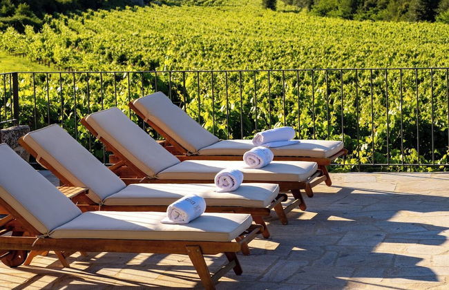 Quinta de Cypriano - Wine & Nature - Foto 75