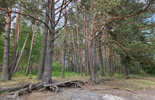 Ferienhaus JULKA am See mit Kamin & WLAN - Domek Letniskowy JULKA - Foto 50