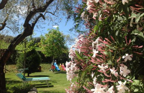 Agriturismo Terralieta - Foto 54