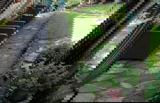 La Rocca della Magione - Foto 5