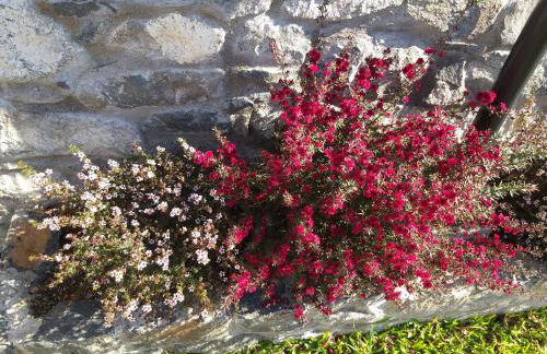 the old school - Foto 14