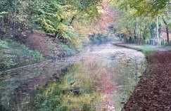 Little Plas - Foto 8