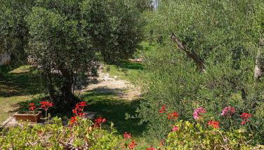 Apartments Nina - Foto 4