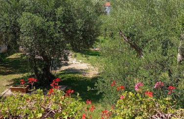 Apartments Nina - Photo 4