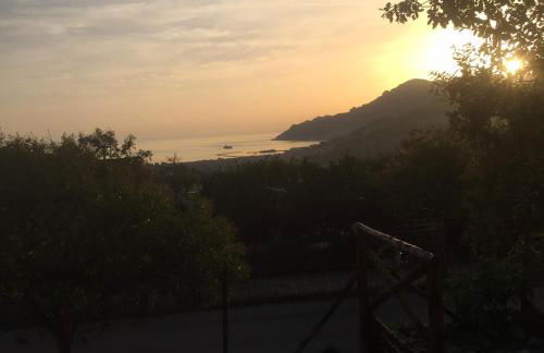 Il cipresso - Photo 9