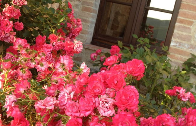 Residenzia del Sogno - Foto 50