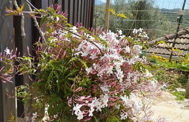 Μικρό σαλέ. - Foto 28