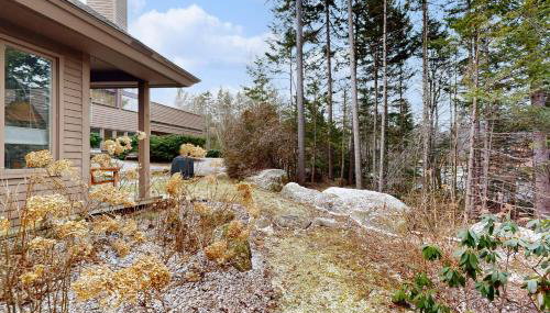 Forest Hideaway - Foto 2