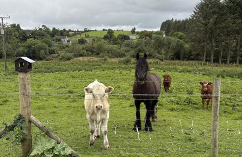 Betty's Farm Cottage - Foto 63