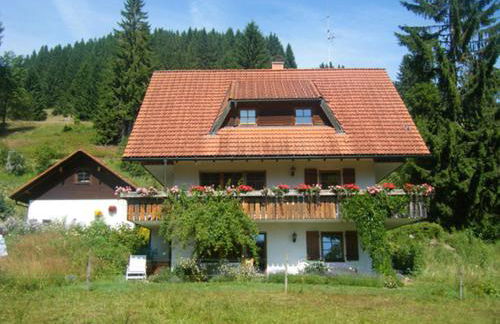 Waldhuesli Feldberg Gartengeschoss - Photo 29