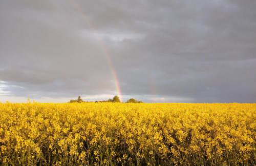 Apartamenty Sielanka - Foto 63