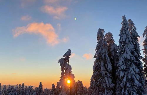 Moderne, ruhige Ferienwohnung Heselbach - Photo 27