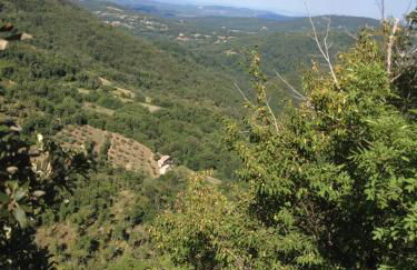 La Casina di Pia - Foto 17