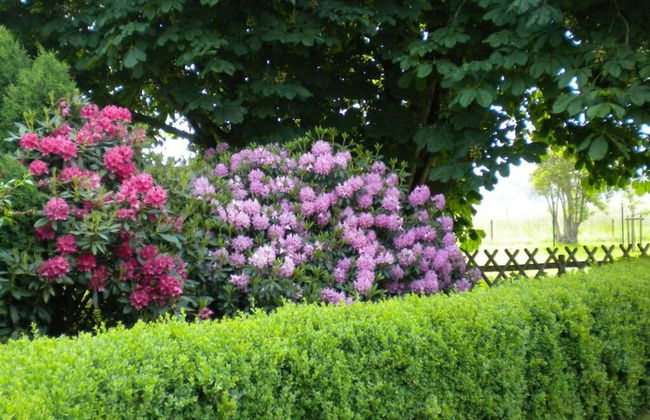 Marschblick Modern Retreat - Foto 11