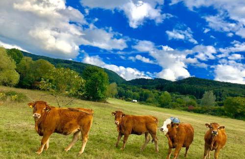 Wohnen direkt am Moselstrand - Foto 35