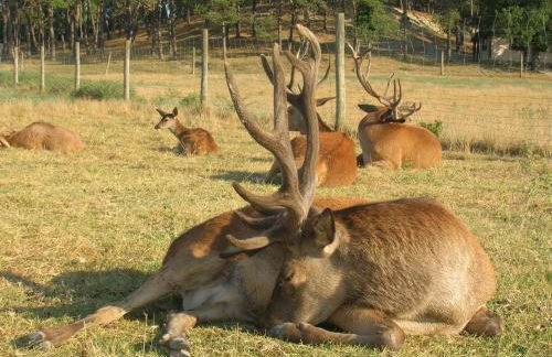 Domaine du Bas Chalus - Foto 13