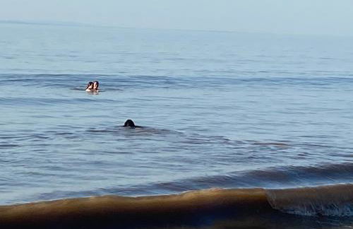 Anchor's Drop - Foto 16