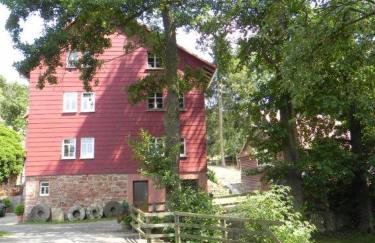Ferienwohnung Tiererlebnishof Obermühle - Foto 17