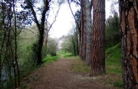 Maison Chêne Liège - Foto 42