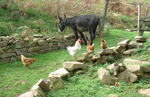 Casa Rural Haitzetxea - Foto 122