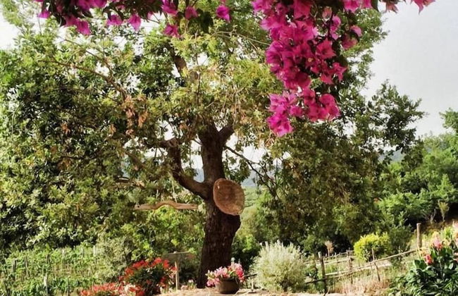 agriturismo i moresani - Photo 61