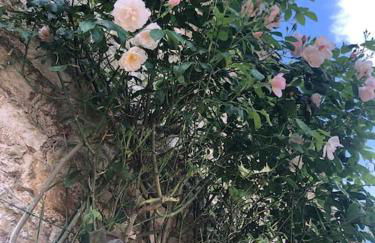 La maison Villecharny - Foto 41