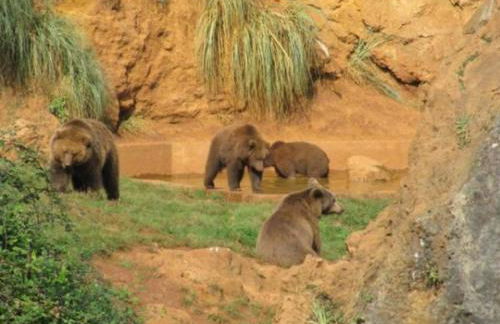 Casa para vacaciones junto al Parque de la Naturaleza de Cabarceno - Foto 13