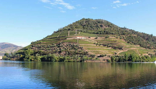 Vigneti sulle rive del Douro