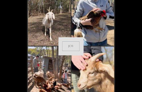 The Lumber Jack Pine Treehouse at Treetop Escapes - Foto 61