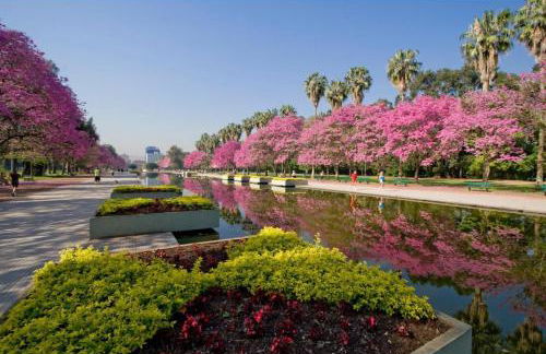 EXTRAORDINÁRIO Apartamento GARDEN NO BOM FIM - Foto 40