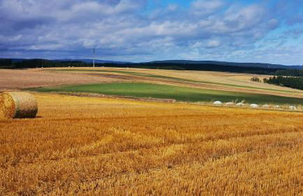 Ferienhaus VILLA ZAUBERBLICK am Rennsteig Frankenwald FREISTEHEND naturnah HUNDEFREUNDLICH eingezäunt - Foto 48