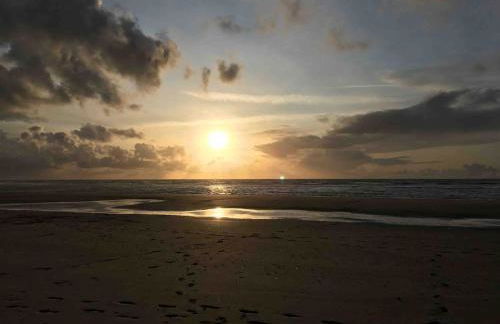 Les Bleuets - Foto 41