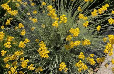 RTA La Pineta - Photo 31