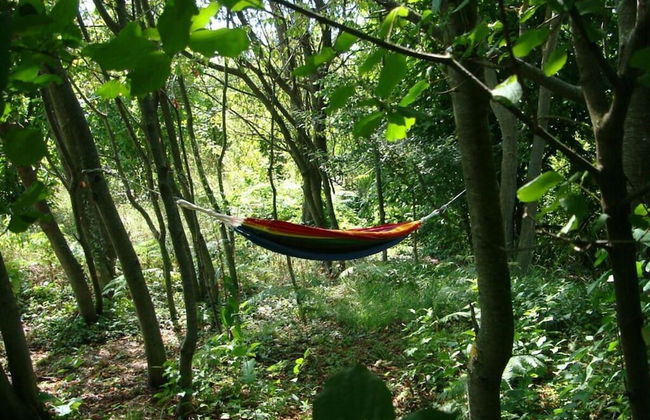 Nice Apartment in Trassenheide - Foto 22