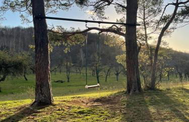 Ferienwohnung "Harzliebe" - Foto 14