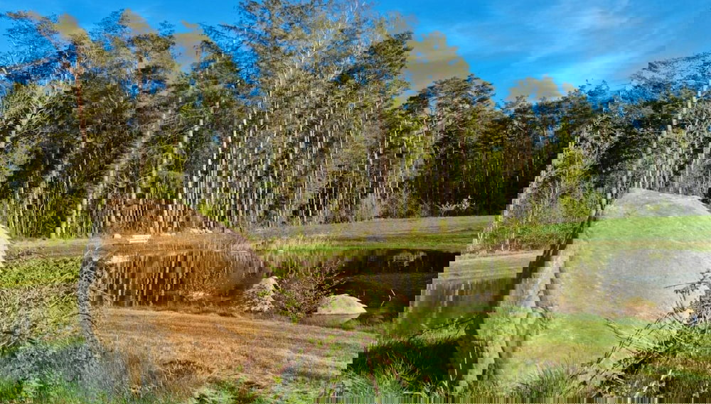 4 Person Holiday Home in Laeso - Foto 1, Imagen principal