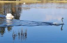 Deeside Holiday Cottages - Photo 27