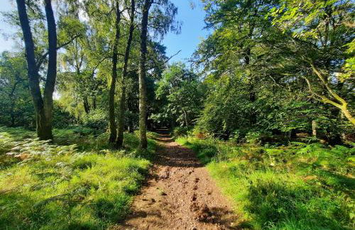 Lochelour Mill Cottage - Photo 42