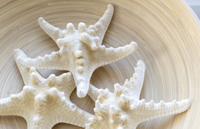 Farmhouse in Groet Near sea and Forest - Foto 36