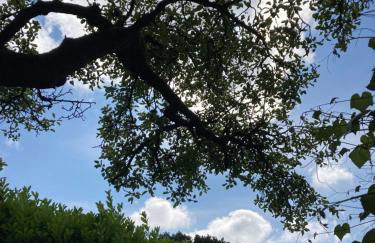 Lütje Huus am Meer - Foto 12