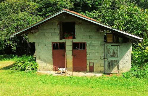 Casa di Anita - Foto 25