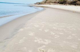 Domki GAMA - Photo 33